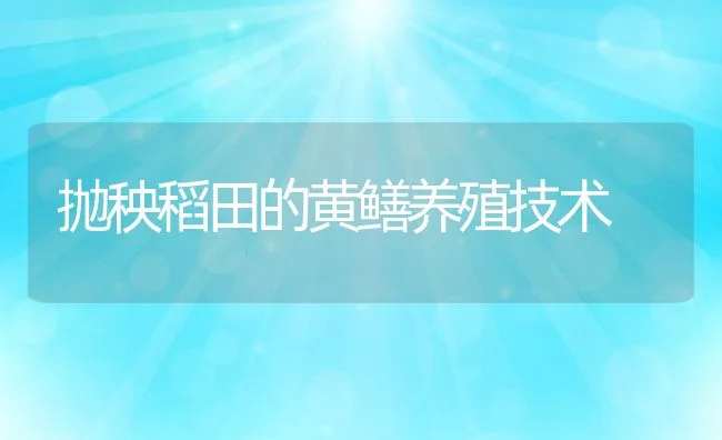 鲶鱼网箱高效养殖技术 | 海水养殖技术