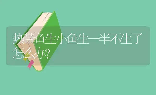 热带鱼生小鱼生一半不生了怎么办？ | 鱼类宠物饲养