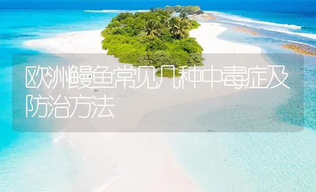 欧洲鳗鱼常见几种中毒症及防治方法 | 海水养殖技术