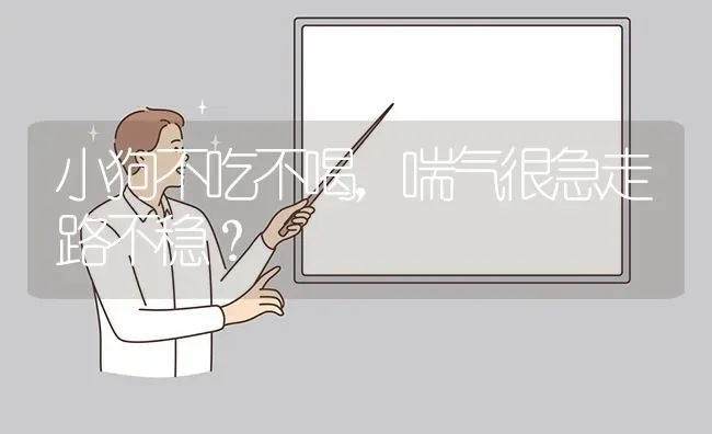 小狗不吃不喝，喘气很急走路不稳？ | 动物养殖问答