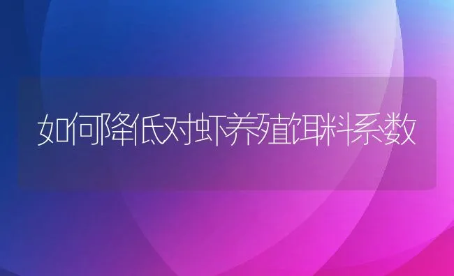 如何降低对虾养殖饵料系数 | 动物养殖饲料