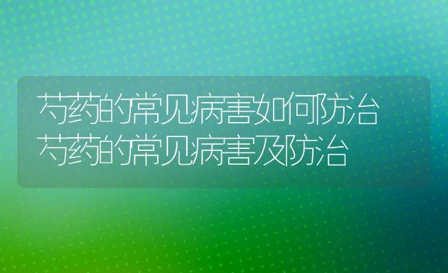 芍药的常见病害如何防治 芍药的常见病害及防治 | 水产养殖知识