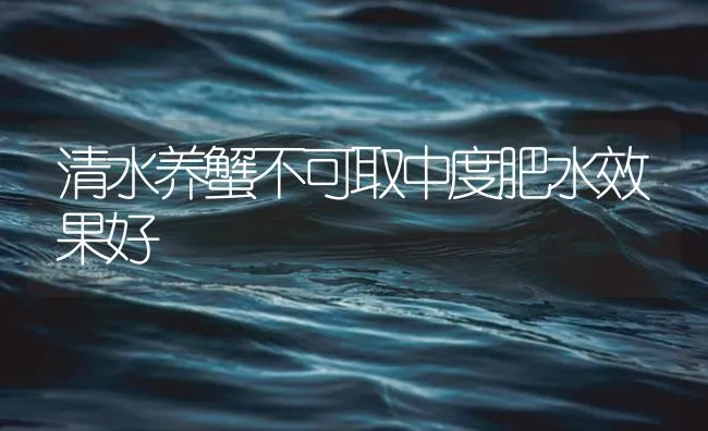 清水养蟹不可取中度肥水效果好 | 海水养殖技术