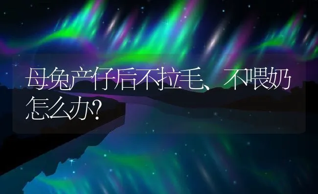 母兔产仔后不拉毛、不喂奶怎么办？ | 水产养殖知识