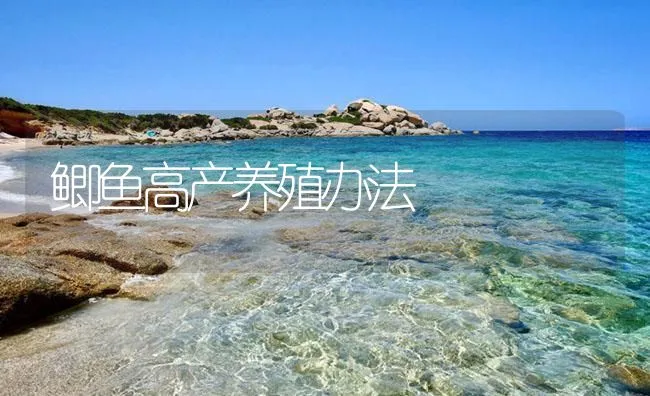 鲫鱼高产养殖办法 | 海水养殖技术