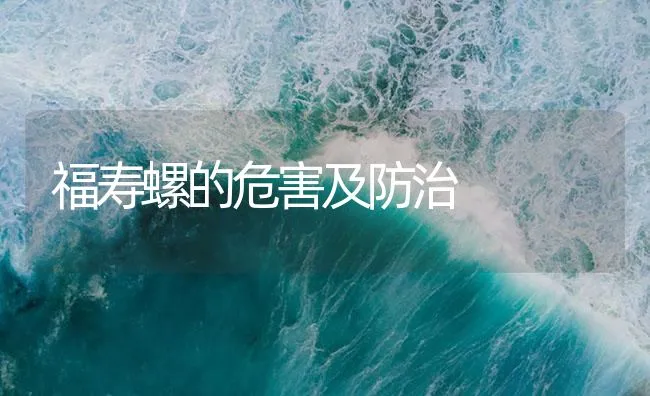 福寿螺的危害及防治 | 海水养殖技术