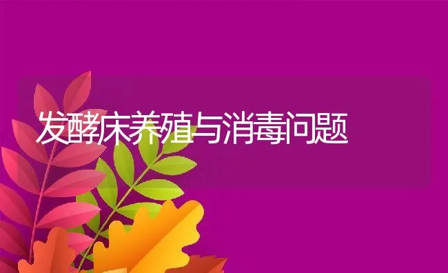 发酵床养殖与消毒问题 | 动物养殖饲料