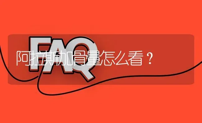 阿拉斯加骨量怎么看？ | 动物养殖问答