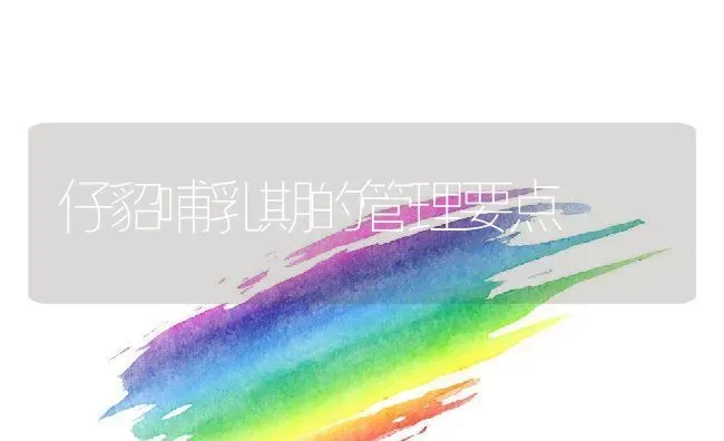 仔貂哺乳期的管理要点 | 动物养殖百科
