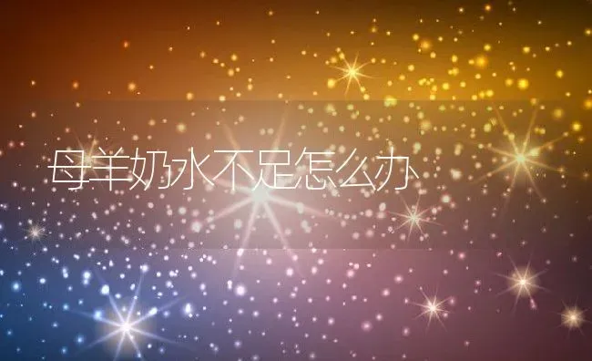 母羊奶水不足怎么办 | 动物养殖百科