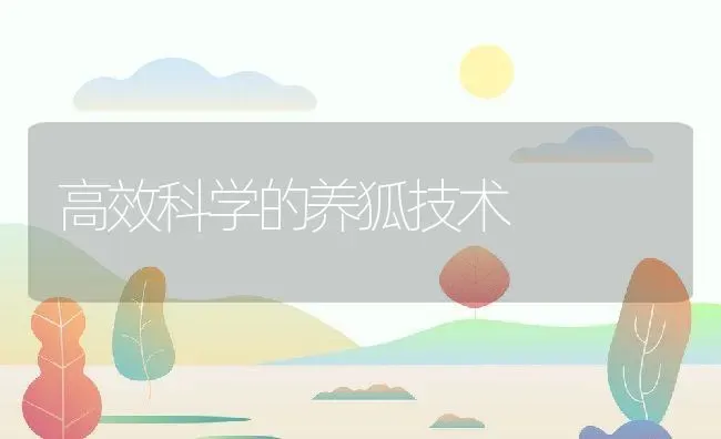 高效科学的养狐技术 | 动物养殖百科