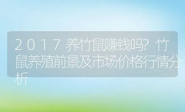 2017养竹鼠赚钱吗?竹鼠养殖前景及市场价格行情分析 | 动物养殖百科