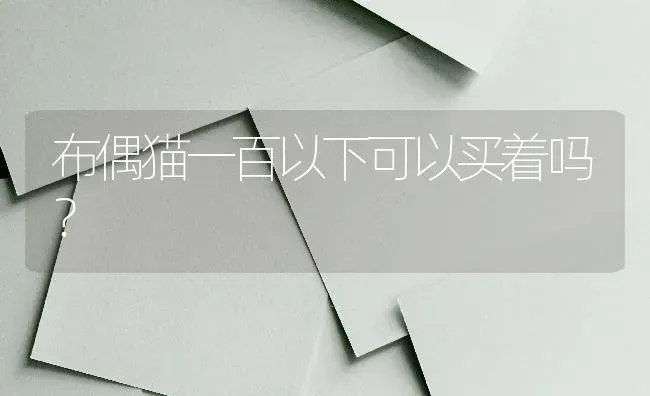 布偶猫一百以下可以买着吗？ | 动物养殖问答