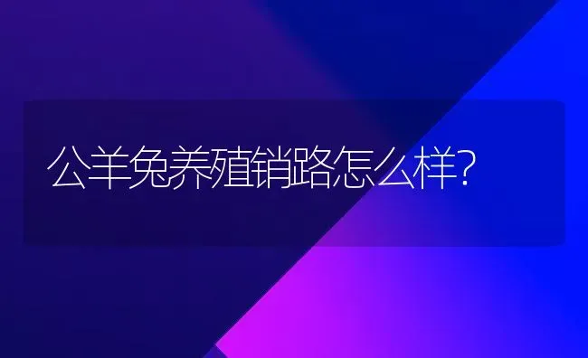 公羊兔养殖销路怎么样？ | 动物养殖问答