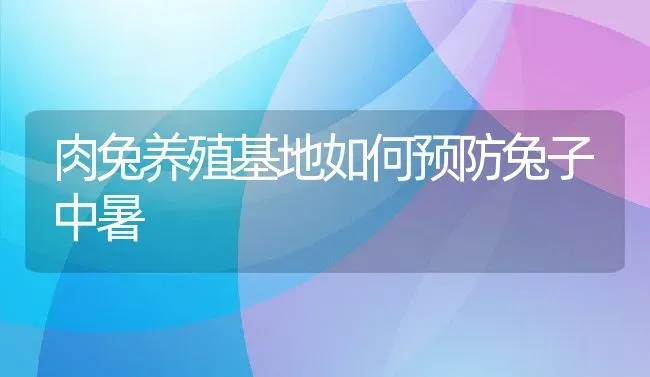 肉兔养殖基地如何预防兔子中暑 | 动物养殖百科