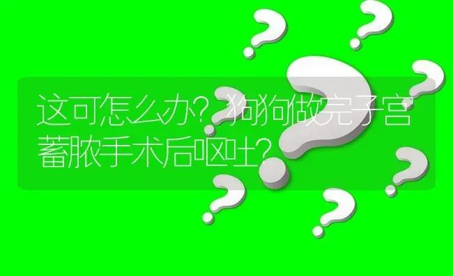 这可怎么办？狗狗做完子宫蓄脓手术后呕吐？ | 动物养殖问答