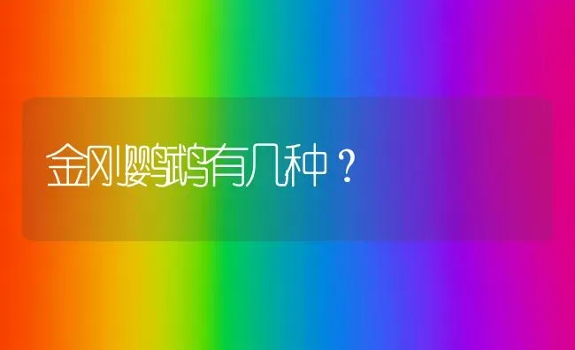 金毛拴久了会怎么样？ | 动物养殖问答