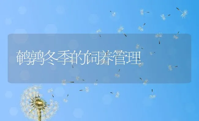 鹌鹑冬季的饲养管理 | 水产养殖知识