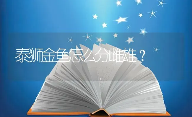 泰狮金鱼怎么分雌雄？ | 鱼类宠物饲养