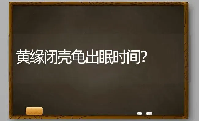 黄缘闭壳龟出眠时间？ | 动物养殖问答