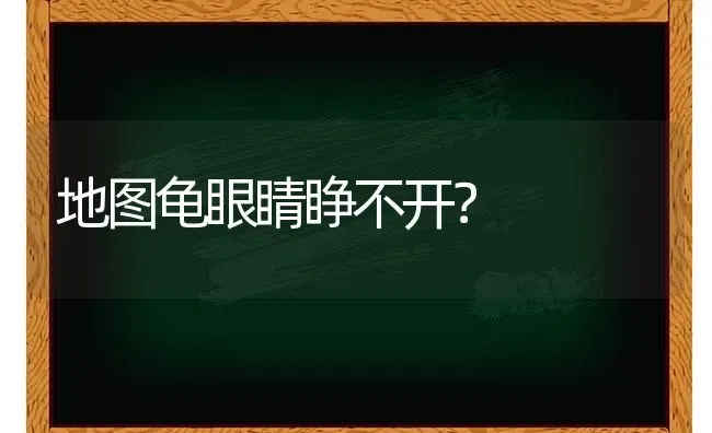 地图龟眼睛睁不开？ | 动物养殖问答