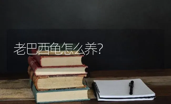 老巴西龟怎么养？ | 动物养殖问答