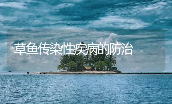 草鱼传染性疾病的防治 | 海水养殖技术