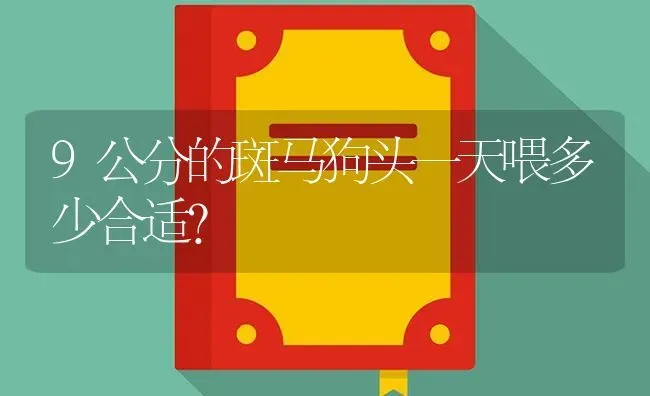 地图鱼的习性？ | 鱼类宠物饲养