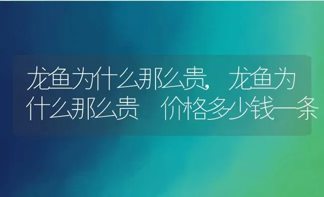 龙鱼为什么那么贵,龙鱼为什么那么贵 价格多少钱一条 | 宠物百科知识