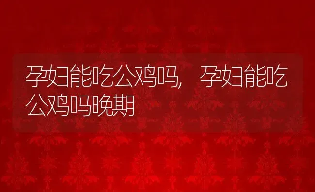 瞳孔放大意味着什么,瞳孔放大意味着什么心理学 | 宠物百科知识