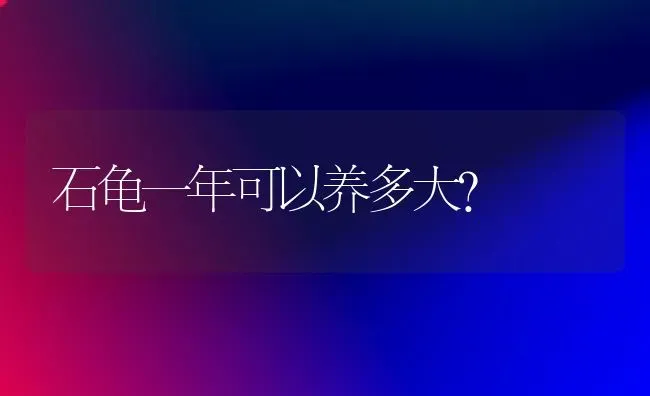 石龟一年可以养多大？ | 动物养殖问答