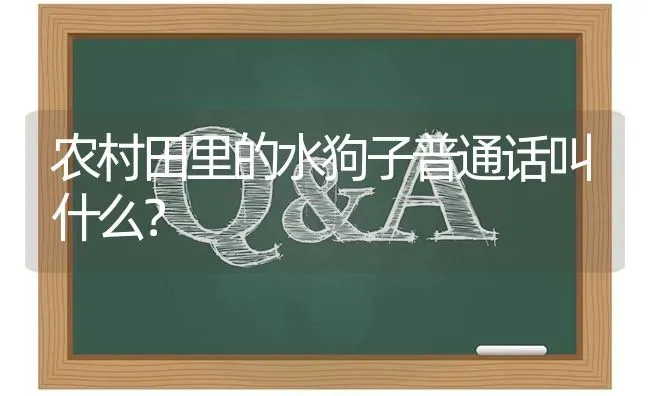 农村田里的水狗子普通话叫什么？ | 动物养殖问答