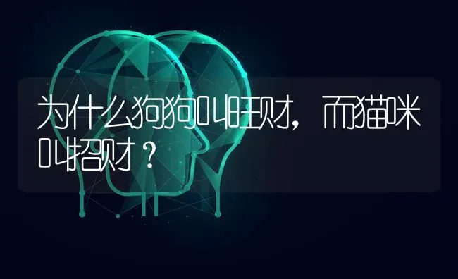 为什么狗狗叫旺财，而猫咪叫招财？ | 动物养殖问答