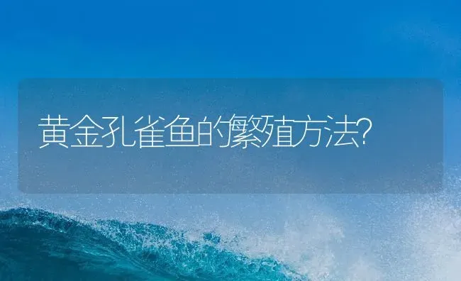 黄金孔雀鱼的繁殖方法？ | 鱼类宠物饲养