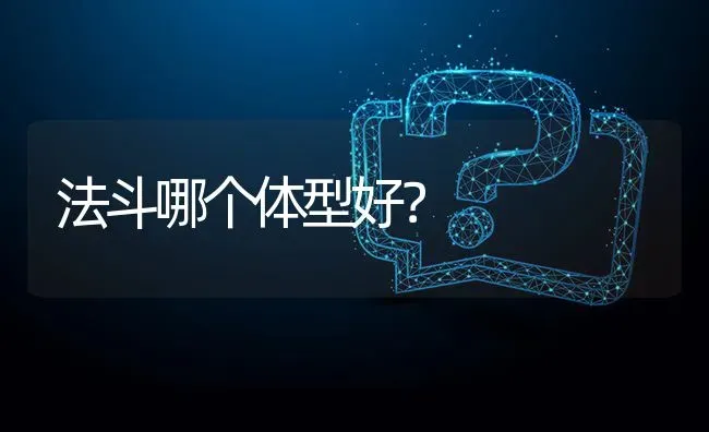 法斗哪个体型好？ | 动物养殖问答