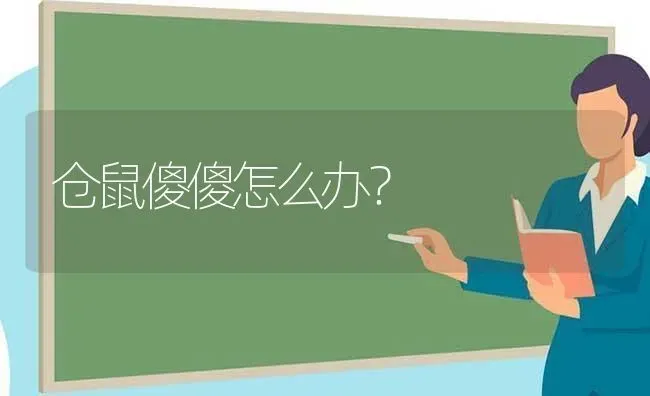 仓鼠傻傻怎么办？ | 动物养殖问答