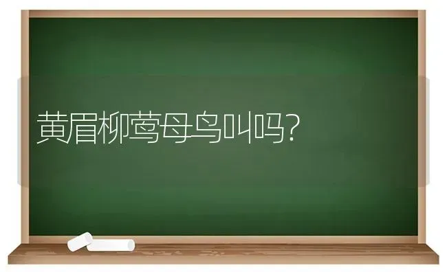 黄眉柳莺母鸟叫吗？ | 动物养殖问答