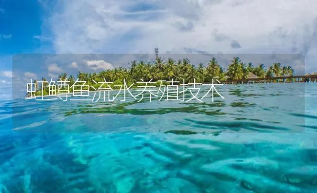 虹鳟鱼流水养殖技术 | 海水养殖技术