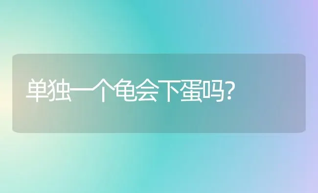 单独一个龟会下蛋吗？ | 动物养殖问答