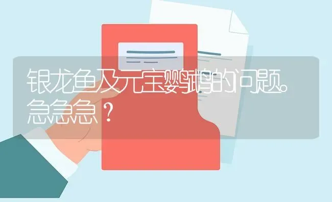 银龙鱼及元宝鹦鹉的问题。急急急？ | 鱼类宠物饲养