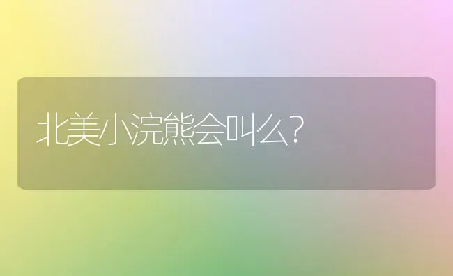 北美小浣熊会叫么？ | 动物养殖问答