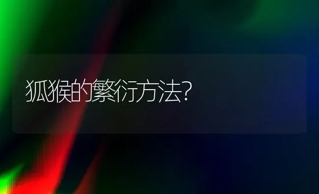 如何买狗？怎么买狗安全？怎么养狗？ | 动物养殖问答