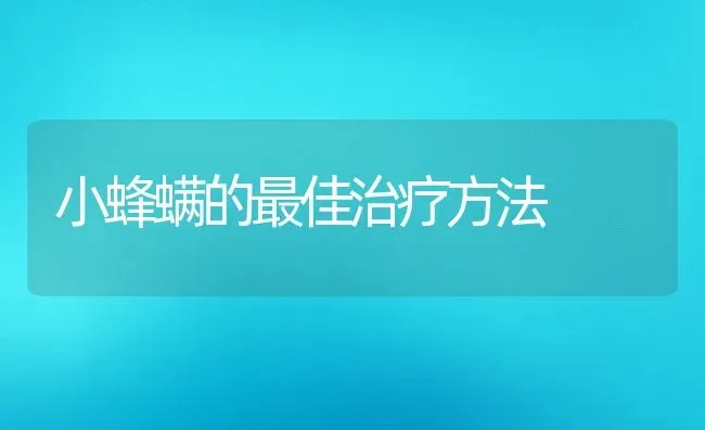 小蜂螨的最佳治疗方法 | 动物养殖教程