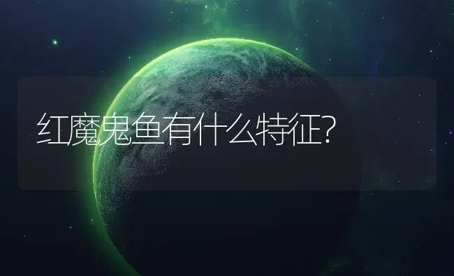 红魔鬼鱼有什么特征？ | 鱼类宠物饲养