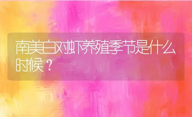 南美白对虾养殖季节是什么时候？ | 动物养殖百科