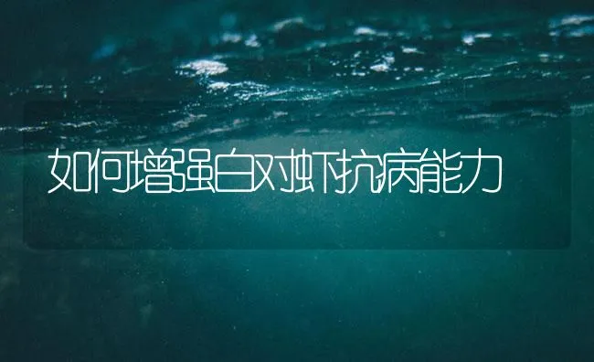 如何增强白对虾抗病能力 | 海水养殖技术