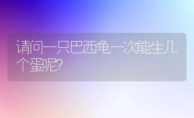 请问一只巴西龟一次能生几个蛋呢？ | 动物养殖问答