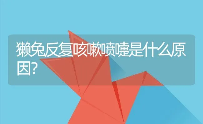 实践中的赶猪技巧 | 动物养殖学堂