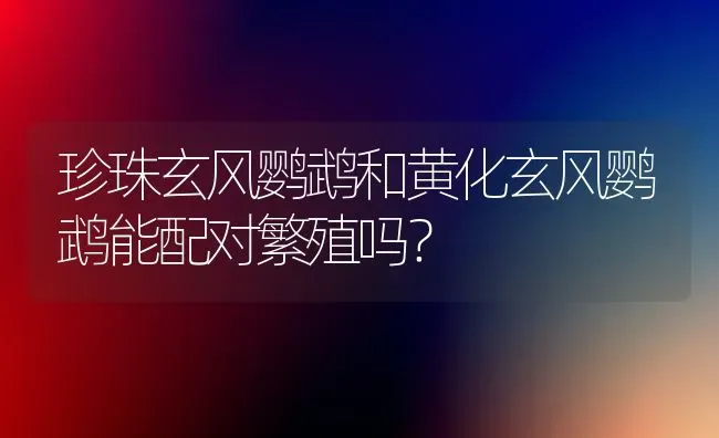 珍珠玄风鹦鹉和黄化玄风鹦鹉能配对繁殖吗？ | 动物养殖问答