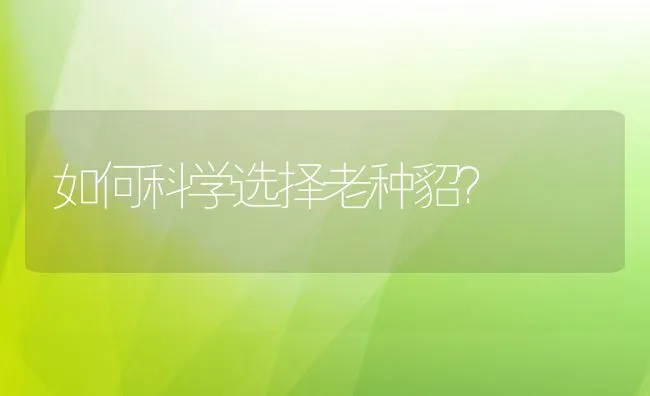 如何科学选择老种貂？ | 水产养殖知识